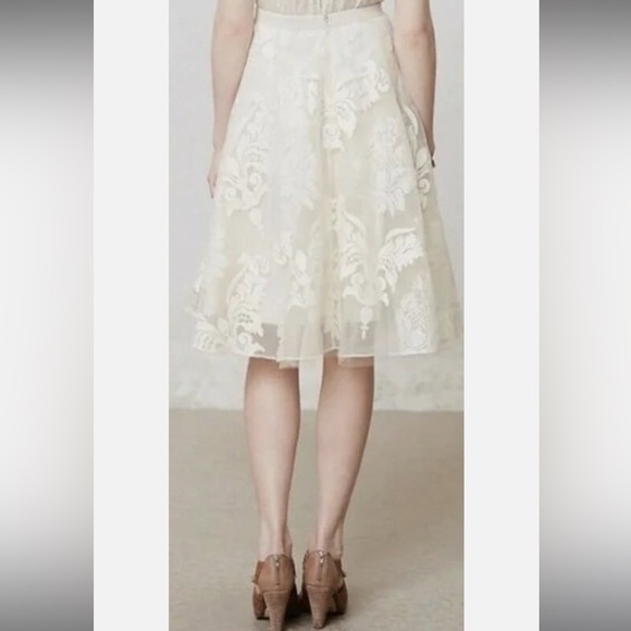 Baraschi Ethereal Romanric Fairy Embroidered Ivory A-Line Tulle Skirt Sz 6 - Picture 2 of 8